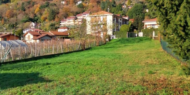 Terreno_Taverna-Provenzano_5